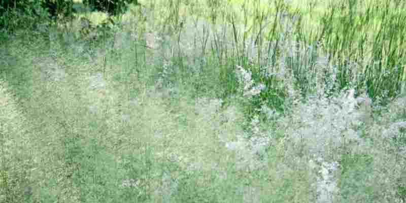 AD: Problemen voor daklozen blijven