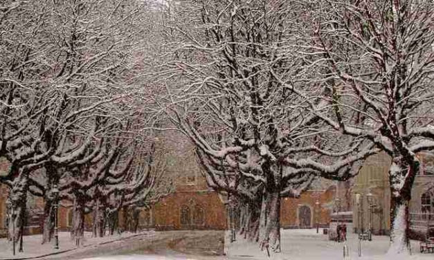 De koudegolf in Nederland: stand van zaken in Nederland met daklozen?