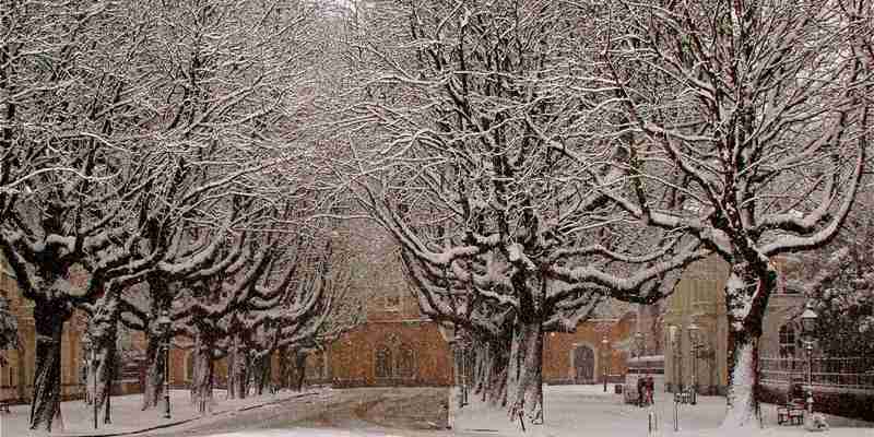 De koudegolf in Nederland: stand van zaken in Nederland met daklozen?