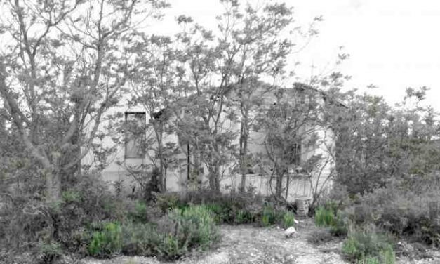 Commissie Landelijke toegankelijkheid beschermd wonen en maatschappelijke opvang