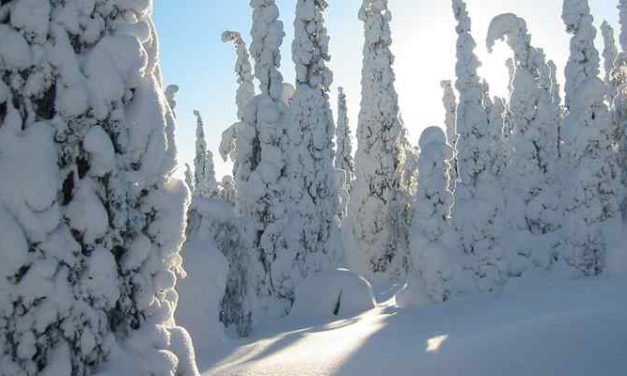 Welingelichte kringen: “Zo kan het ook! In Finland zijn geen daklozen meer”
