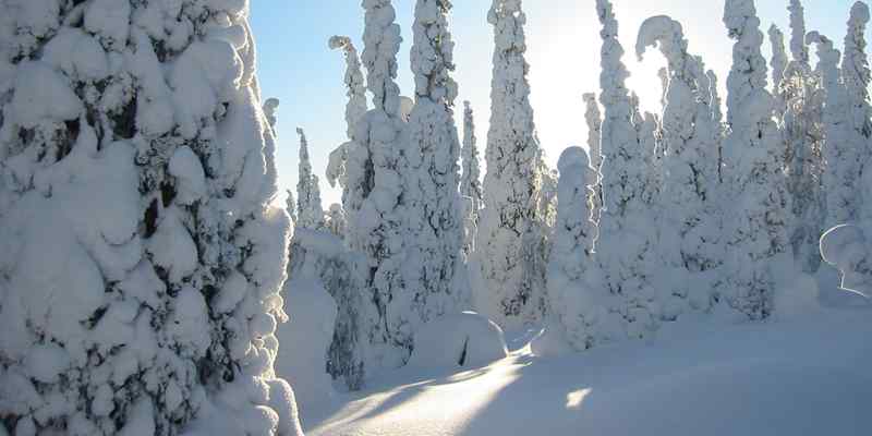 Welingelichte kringen: “Zo kan het ook! In Finland zijn geen daklozen meer”