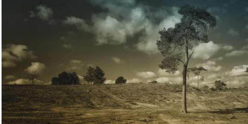 NRC: Dorine (18) staat er alleen voor