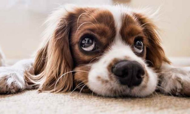 NRC: Eindeloos wachten, en dan weer de straat op