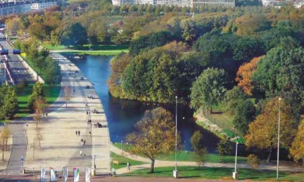 Onbekende donateur hangt winterkleding aan bomen op de Koekamp