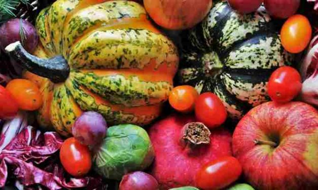 Grote groep Hagenaars heeft niet genoeg geld voor eten