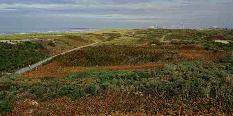 De politie zoekt met drones naar daklozen in Haagse duinen
