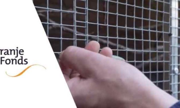 ‘Ik durfde geen brief meer open te maken’