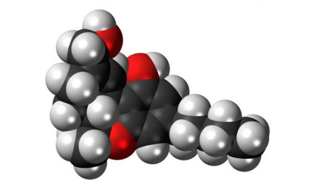 Minder psychoses door minder THC in cannabis