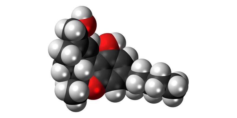 Minder psychoses door minder THC in cannabis