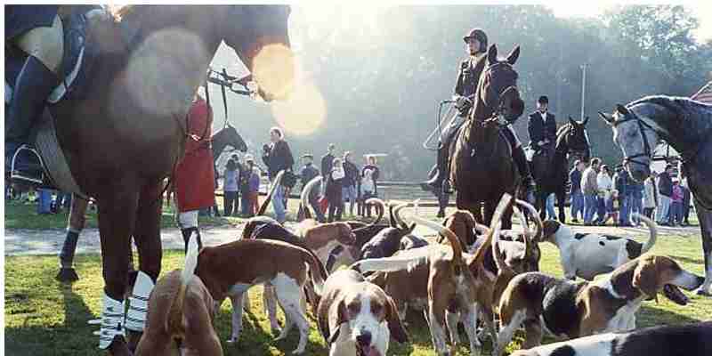 Politie zet ‘de jacht’ op duinslapers al vroeg in