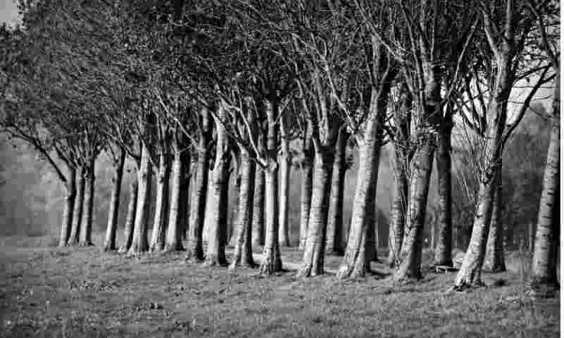 Ook in het welvarende Nederland zullen er daklozen blijven