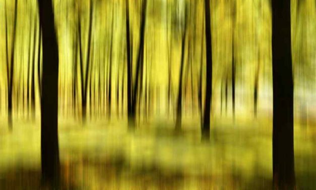 Bestaanszekerheid vraagt politieke moed en concrete keuzes