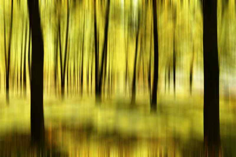 Bestaanszekerheid vraagt politieke moed en concrete keuzes