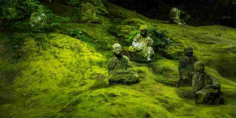 Geëngageerd boeddhisme