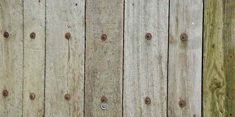 Den Haag dumpt daklozen in andere gemeenten: ‘Egoïstisch en asociaal’