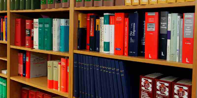 Raad van State: Voorlichting over amendement bij Asielnoodmaatregelenwet over reikwijdte van strafbaarstelling illegaliteit.