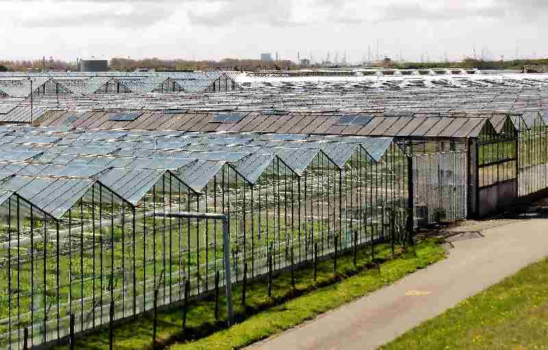 Gemeenten: snelle aanpak arbeidsmigranten nodig