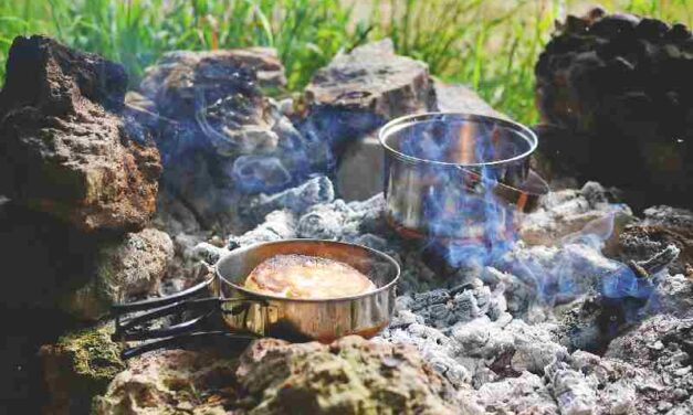 Duizenden dakloze arbeidsmigranten zwerven rond: ‘Ze schamen zich vaak om terug te keren naar Polen’