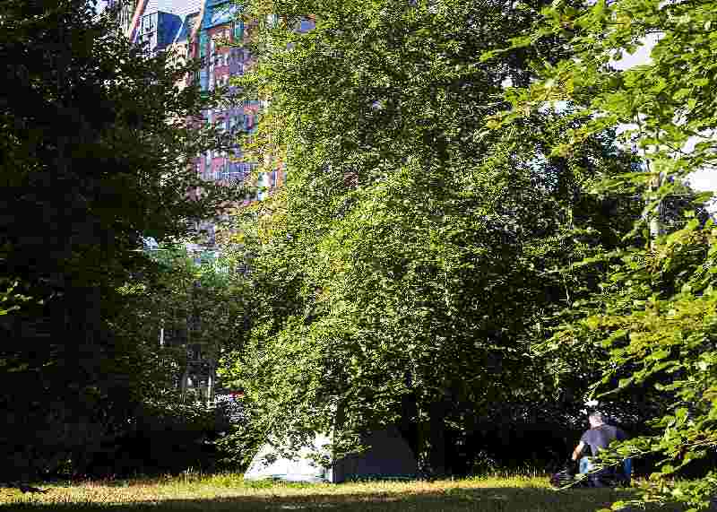 De nieuwe sociale kwestie