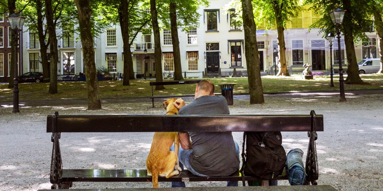 NOS: Experts waarschuwen: stop met delen van ‘mensonwaardige’ beelden van daklozen