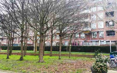 Impuls van 36 miljoen voor woningverbetering en armoedebestrijding in Den Haag Zuidwest