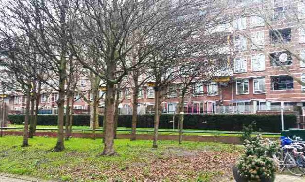 Impuls van 36 miljoen voor woningverbetering en armoedebestrijding in Den Haag Zuidwest