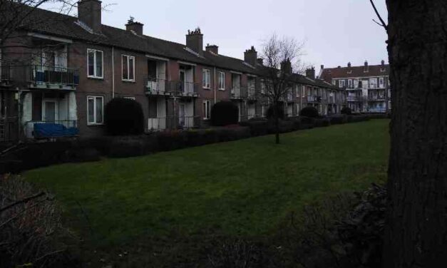 Hoe gemeenten woningdelen mogelijk maken