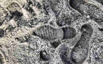 Zorgen om daklozen in kou ’s nachts: hoeveel kan het lichaam aan?