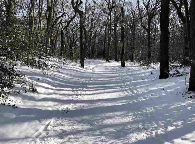 Opvang voor dakloze mensen vangt winterse klappen op met noodoplossingen