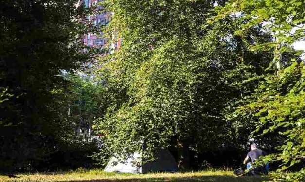 De staat kijkt niet om naar ongedocumenteerde mensen – tenzij ze een misstap begaan