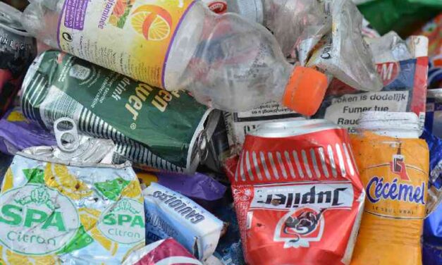 Solomon mag in Nederland geen bestaan opbouwen, maar kan nergens anders naartoe