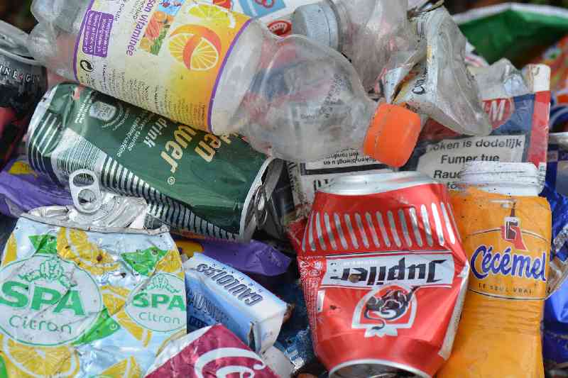 Solomon mag in Nederland geen bestaan opbouwen, maar kan nergens anders naartoe