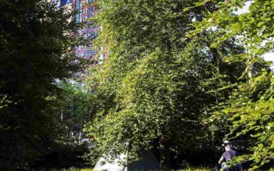 Hoe je als dakloze arbeidsmigrant moet strijden om hulp te krijgen