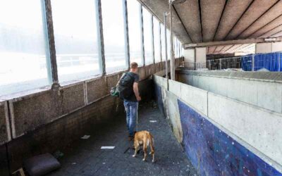 Utrechtse raad haalt streep door boetes voor buitenslapers