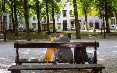 Wat het beste is voor de meesten is niet het beste voor iedereen