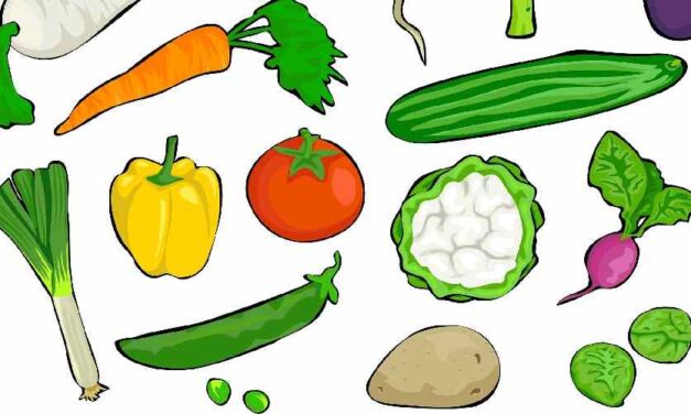 Nikki deed onderzoek naar voedselnood in Nederland en dít is wat ze allemaal zag en hoorde