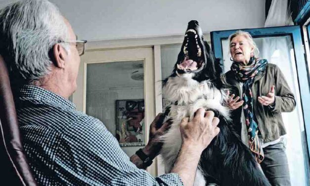 Dakloze Richard uit Den Haag was nog nooit in Enschede geweest. Toch kreeg hij er een huis