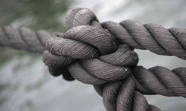 Verward gedrag veroorzaakt overlast en vraagt veel politie-inzet