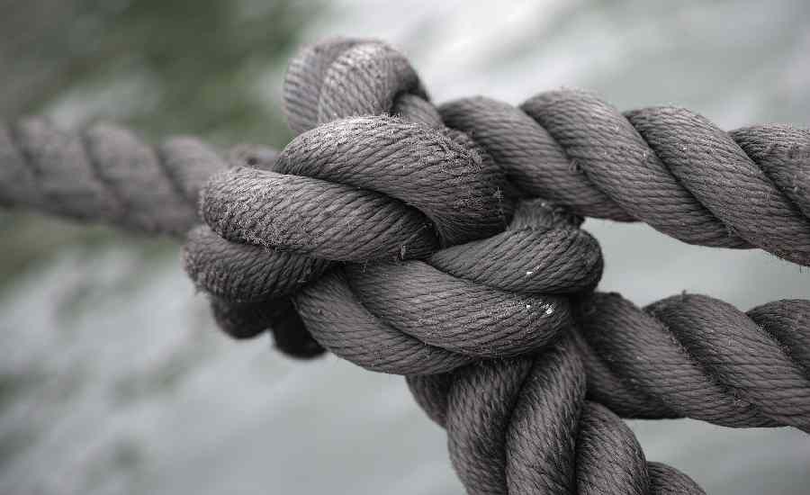 Verward gedrag veroorzaakt overlast en vraagt veel politie-inzet