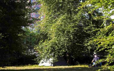 Hulpverleners zien ongekende toename dak- en thuislozen Amersfoort: ‘Gevolgen zijn gigantisch’