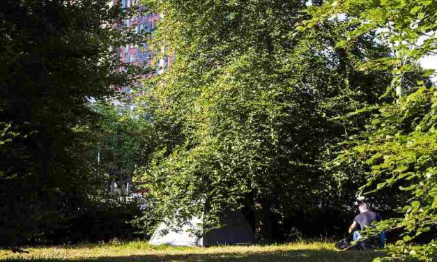 Hulpverleners zien ongekende toename dak- en thuislozen Amersfoort: ‘Gevolgen zijn gigantisch’