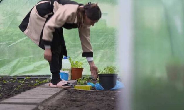 {Video} Hulya leeft in armoede maar voelt zich schatrijk