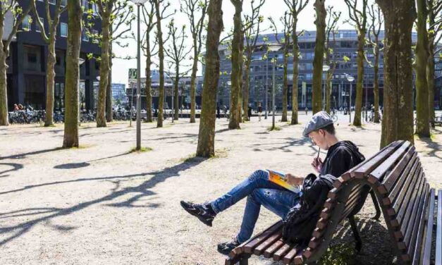 Expertmeeting over dakloosheid en het recht op huisvesting