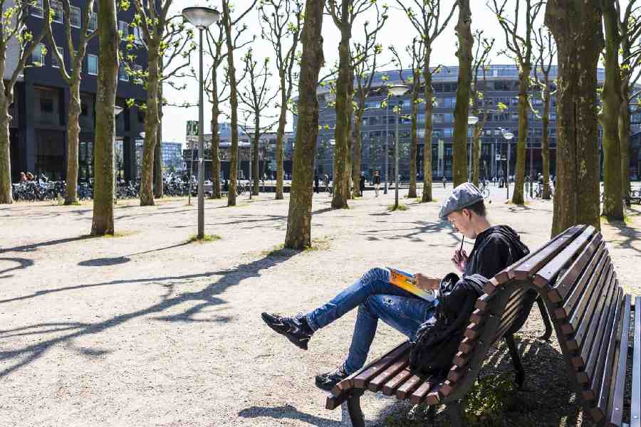 Expertmeeting over dakloosheid en het recht op huisvesting