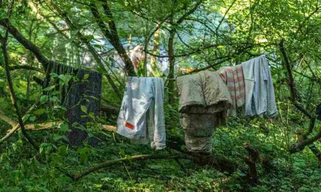 Enthousiasme over Haagse aanpak van dakloosheid, maar nog veel vraagtekens over uitvoering