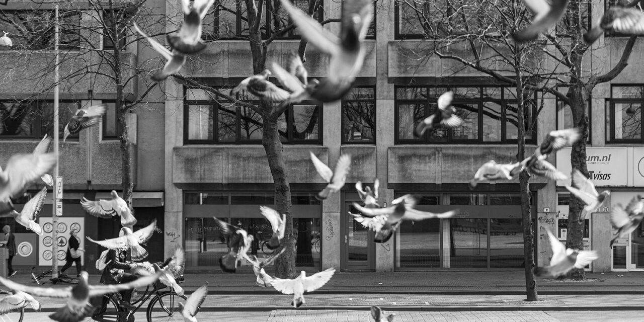 Stilstaan bij vier levens die te vroeg eindigden