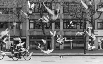 Stilstaan bij vier levens die te vroeg eindigden