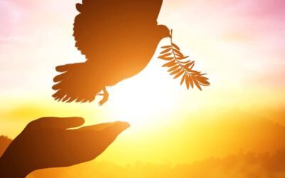 Nieuwsbrief Straat Consulaat december 2023