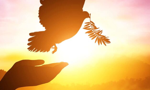 Nieuwsbrief Straat Consulaat december 2023